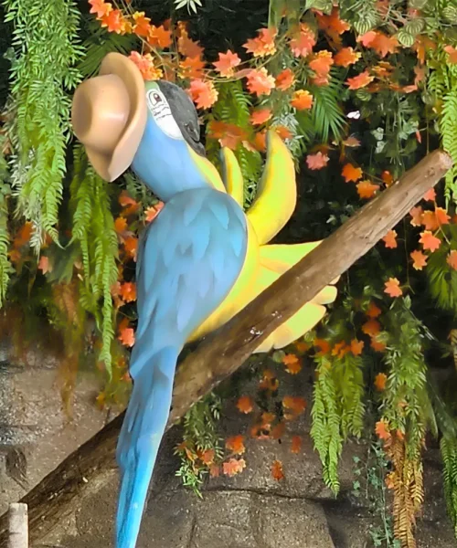 ACQUA BRAVOS - parque aquático