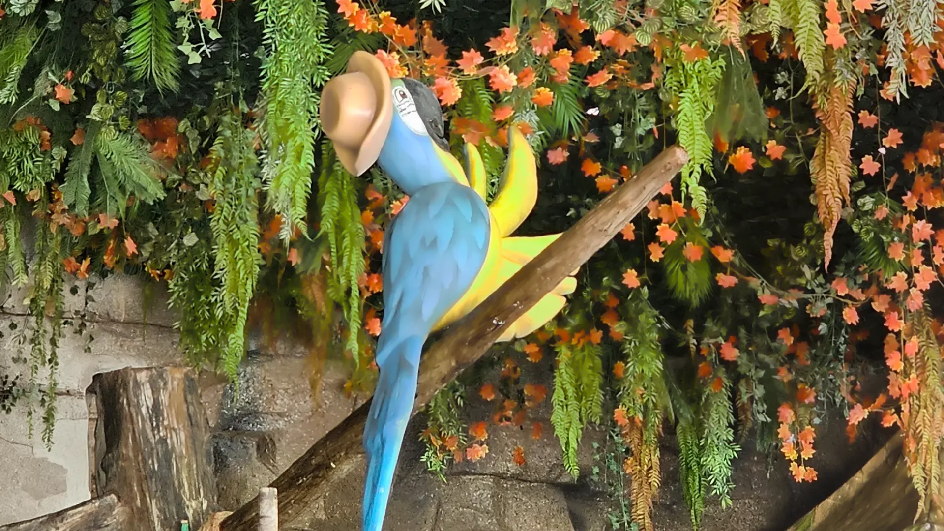 ACQUA BRAVOS - parque aquático