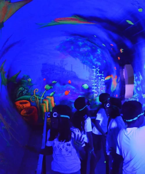 Chromadepth 3D Park temático Atração Indoor